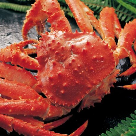 Crab