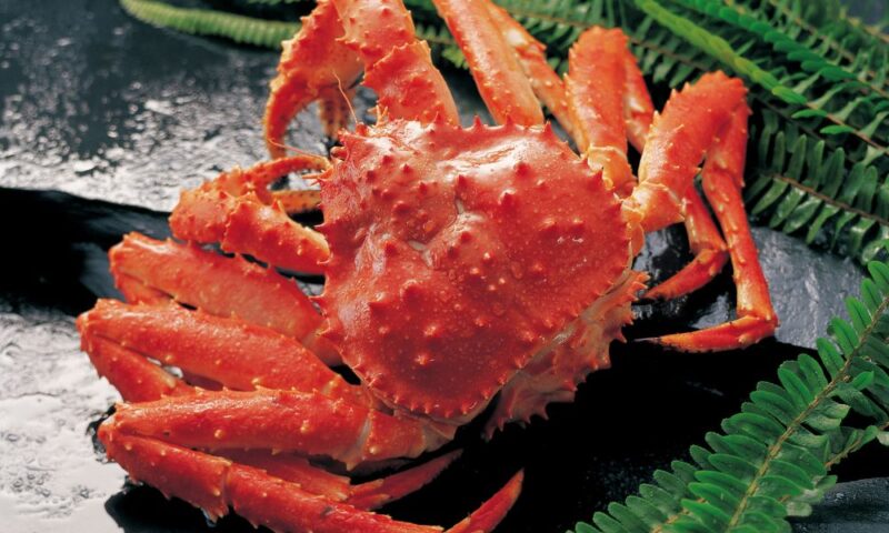Crab