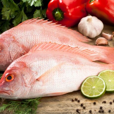 Red snapper