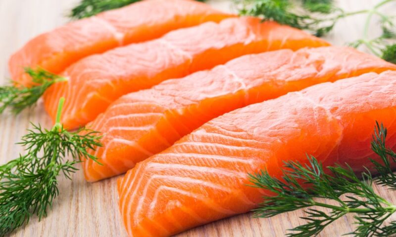 Salmon
